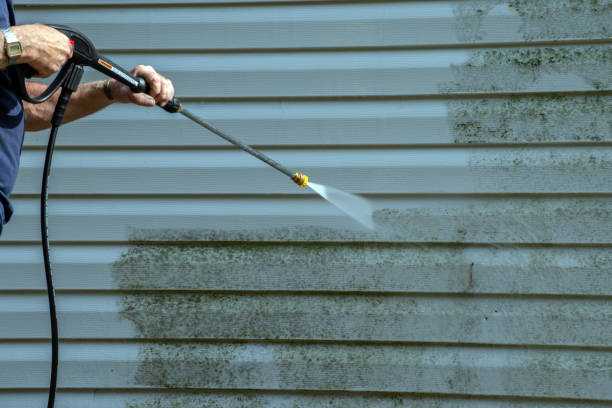 Best Graffiti Removal  in Sierra Ridge, CO
